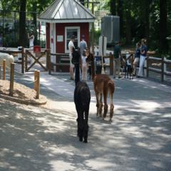 Staten Island Zoo